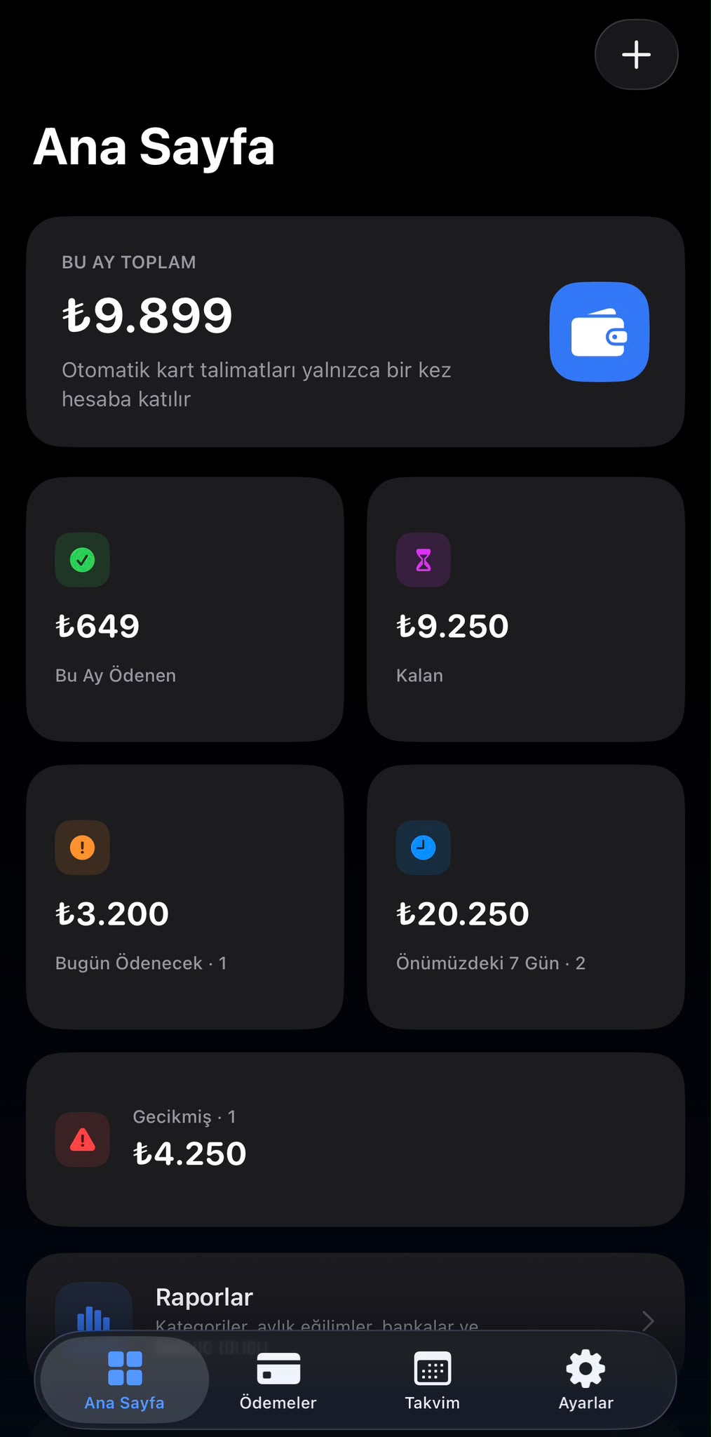 PayPilot dashboard showing monthly payment summary